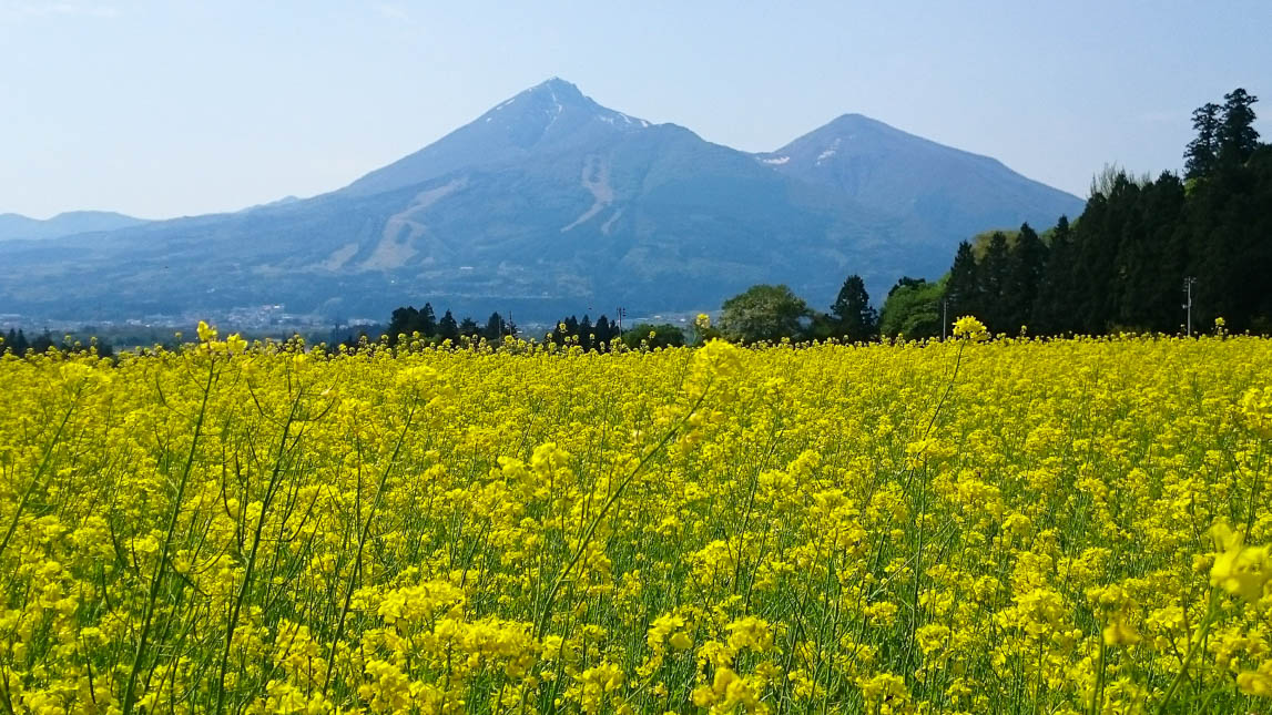 歴史やグルメに観光も 丸一日でまわれる猪苗代町の見どころ特集 福島trip